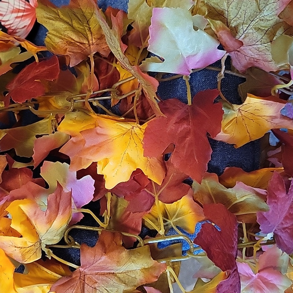 HURRY BEFORE DECEMBER